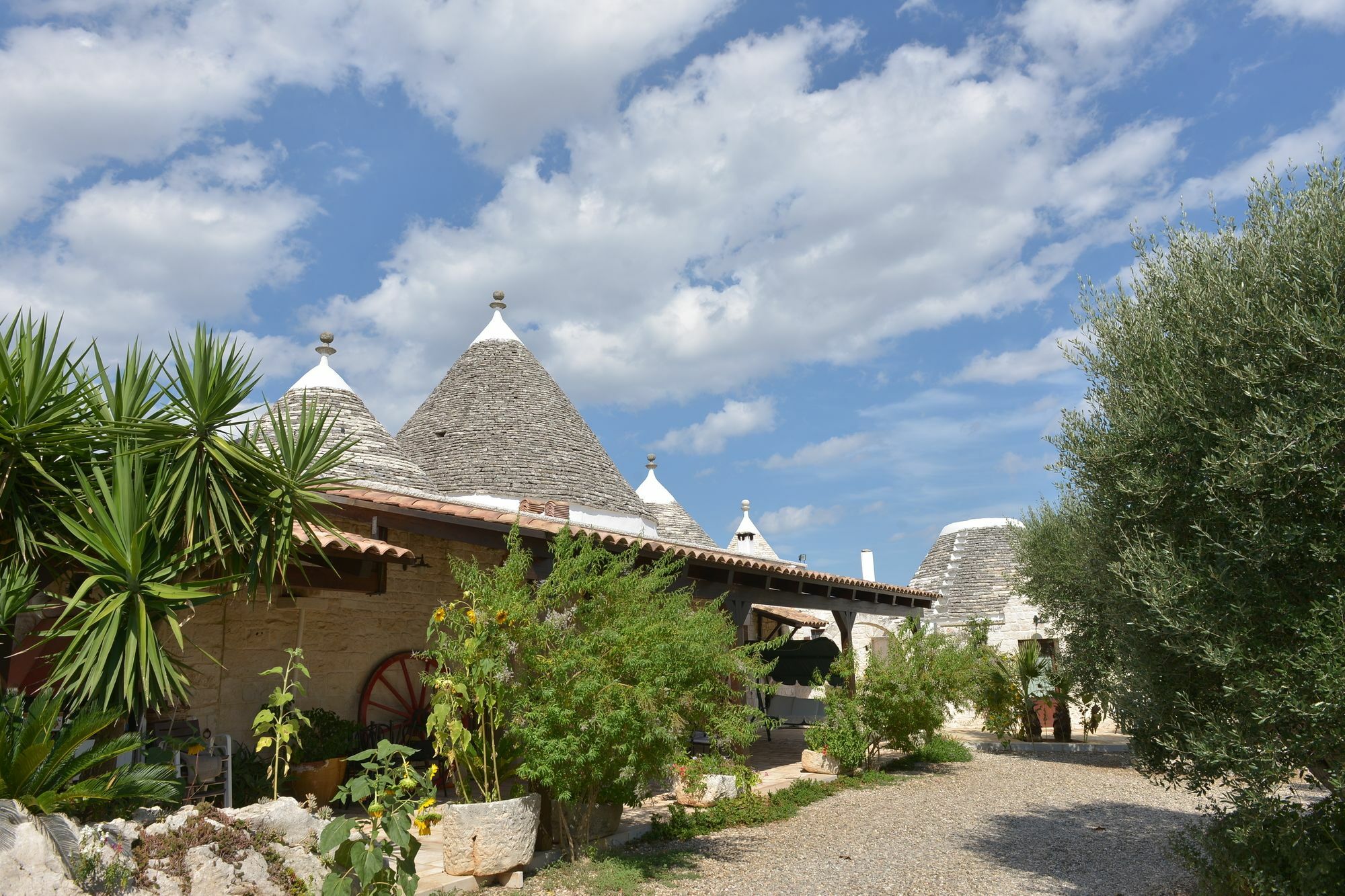 Masseria Pentima Vetrana Resort Alberobello Eksteriør bilde