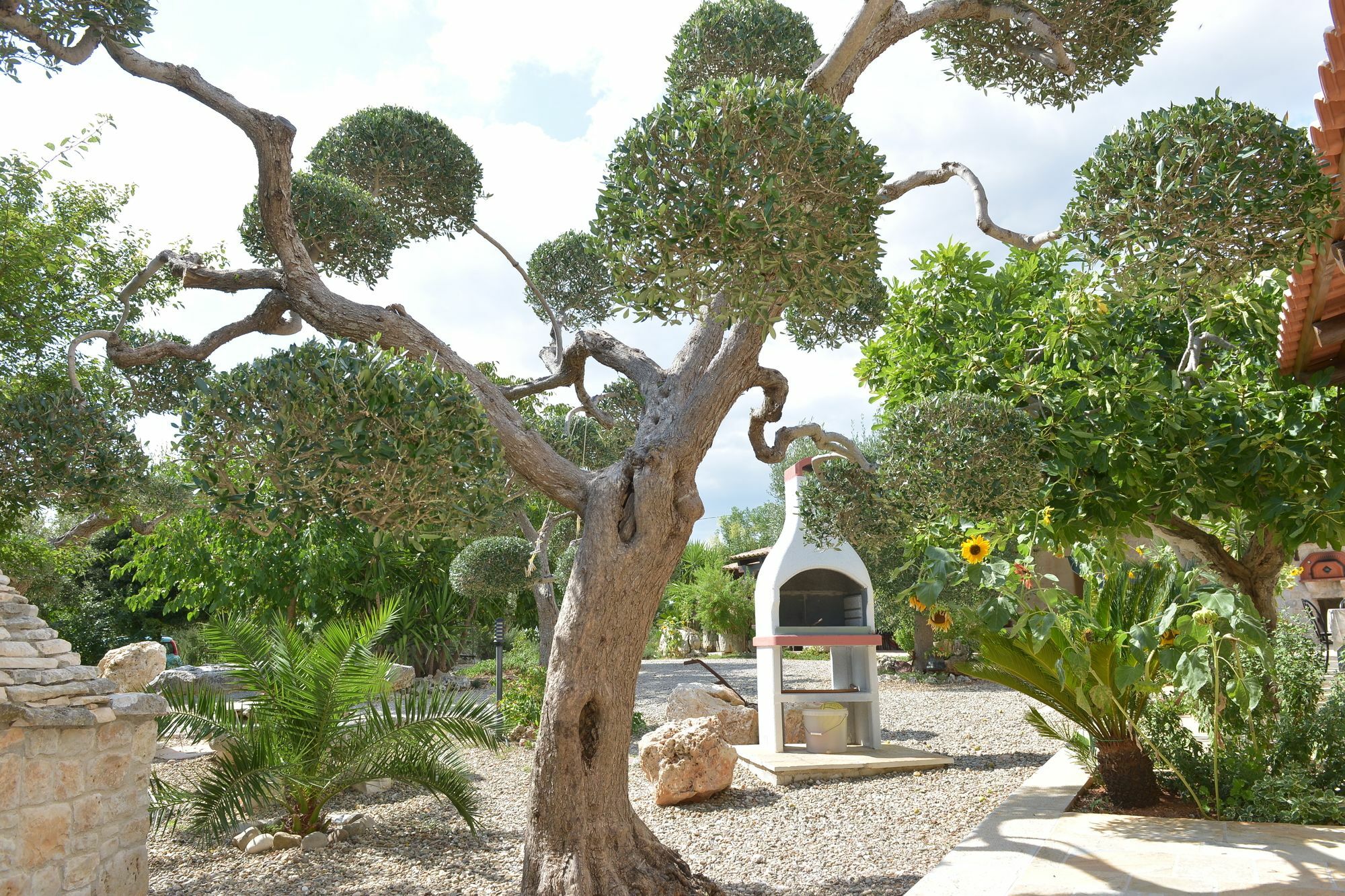 Masseria Pentima Vetrana Resort Alberobello Eksteriør bilde